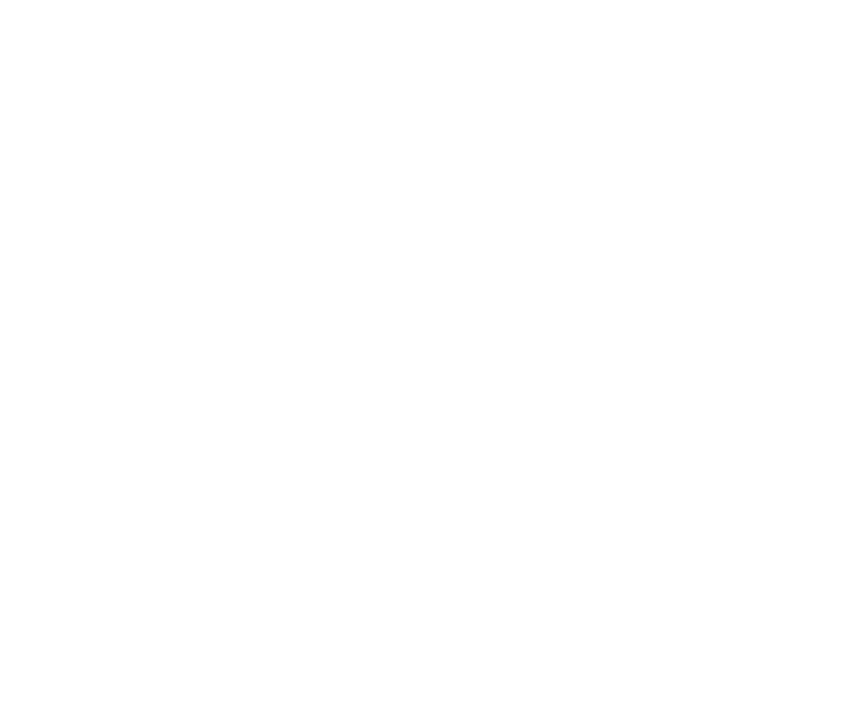 Stop au Lyon Turin