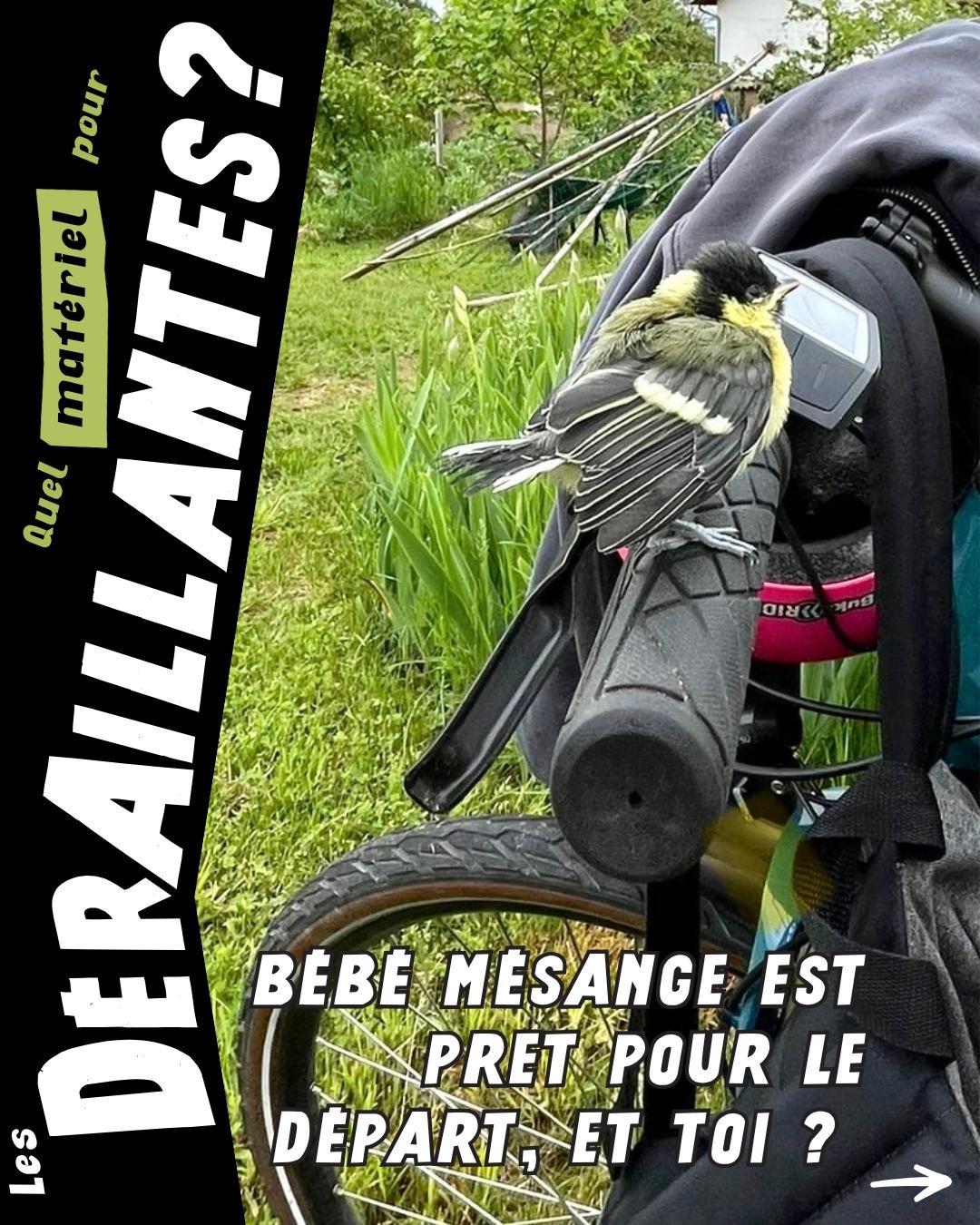 Quel matériel pour les dérraillantes ?