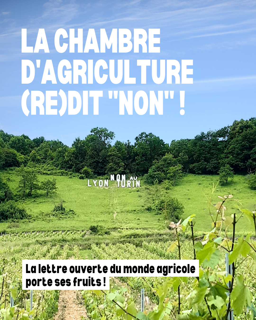 La chambre d&rsquo;agriculture AURA prend position